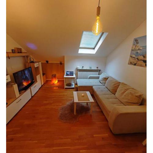 Cozy apartment near the center