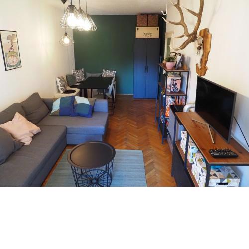 Cozy Apartment near tram station