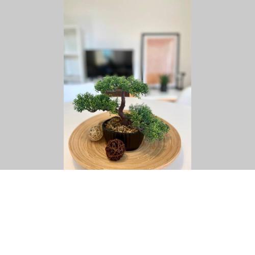 Cozy Apartment Umag