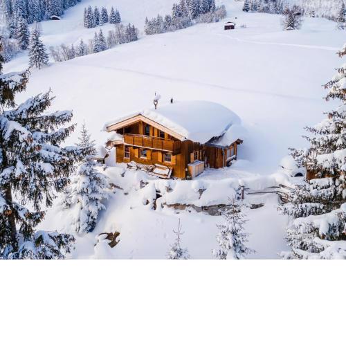 Cozy cabin with a great view