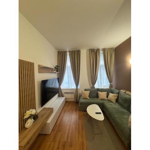 Cozy stay near City Center - Žižkov