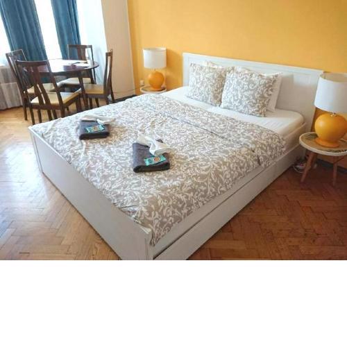 Cozy studio in the heart of old Prague near the Charles Bridge