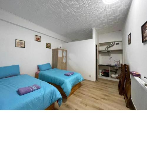 Cozy Studio in Zizkov Prague