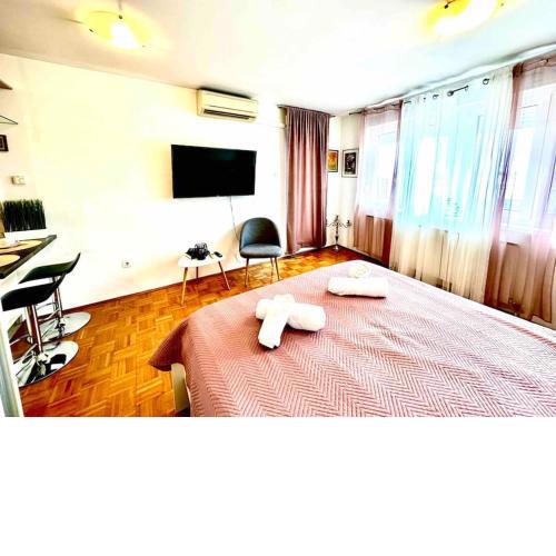 Cute and Cosy apartment