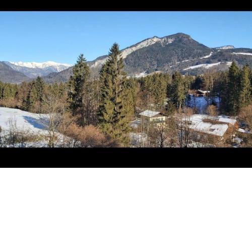 Dachstein Blick