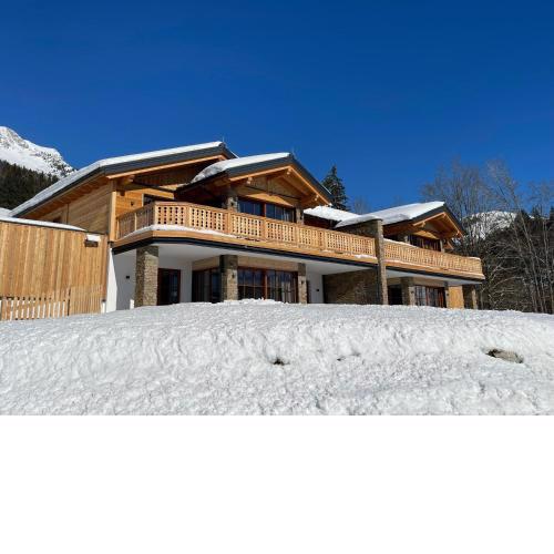 Dachstein Chalet