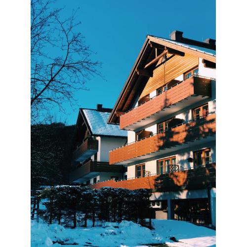 Dachstein view ski apartment