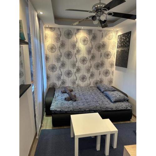 Dandelion apartment