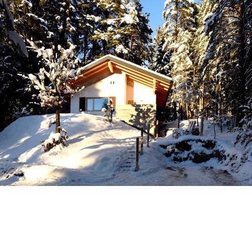 DAS HAUS IM WALD