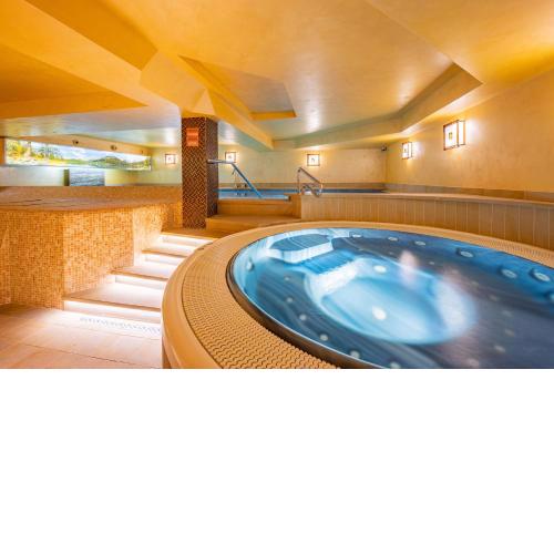 David Wellness Hotel