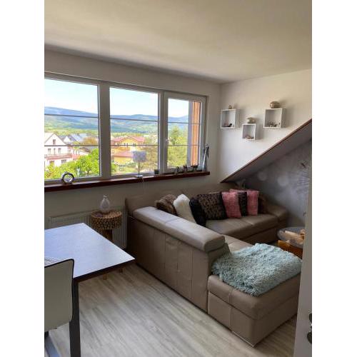 Deluxe apartmán Liščí kopec