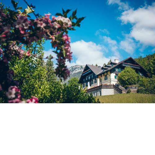 Der Knappenhof - Hotel & Restaurant