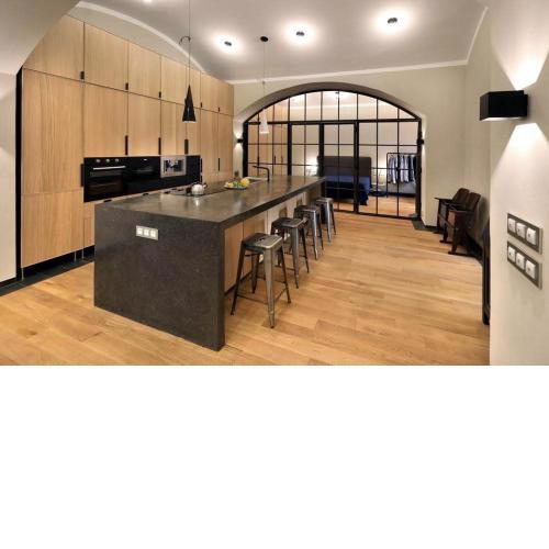 Design Loft 2 Minutes to Wenceslas square