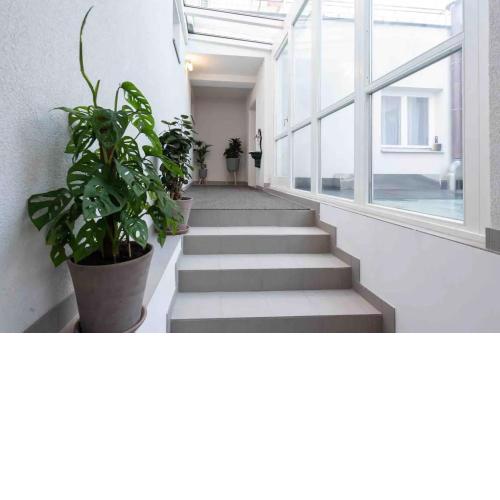 Designer Apartments