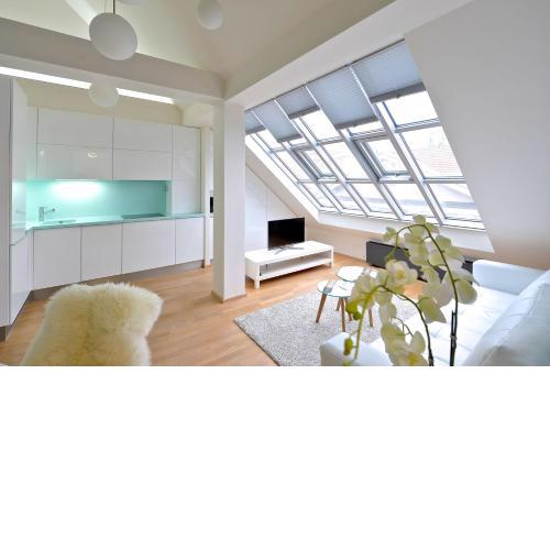 Designer Loft 2