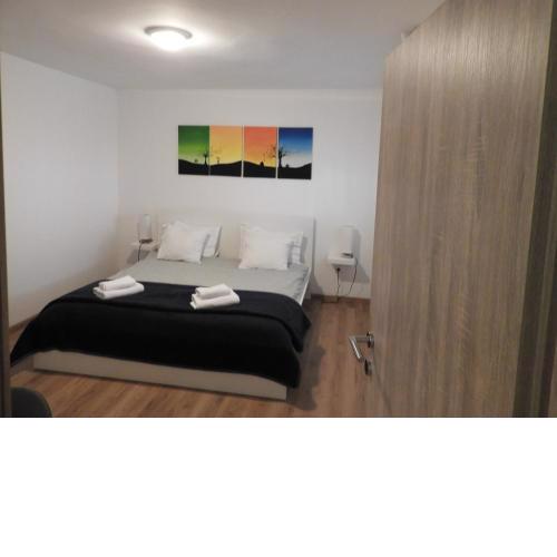 Dora's apartments