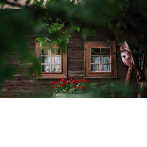 Dreveničky Holúbkovia
