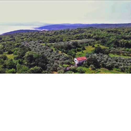 Ecohouse Oliveglia