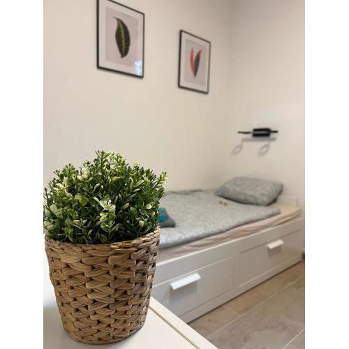 Einzimmerwohnung TOP 6 K-42