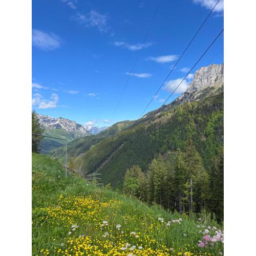 Eisenerz Alpine Apartement RoSy