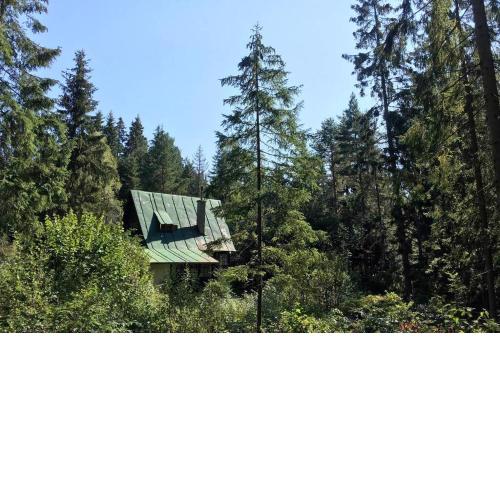 Enchanted Forest Chalet