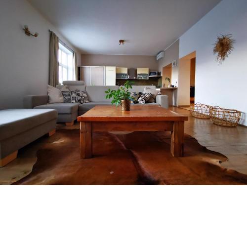 Falcon apartment
