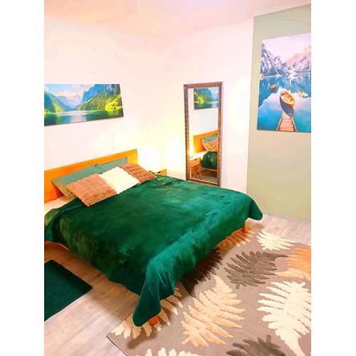 Family Apartments 2 room's centre Mürzzuschlag