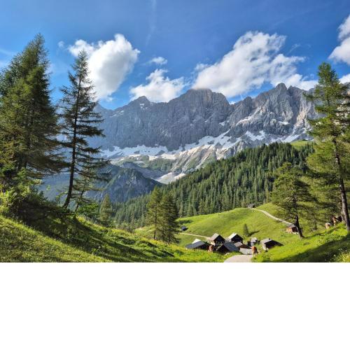 Family Appartment - Dachstein View