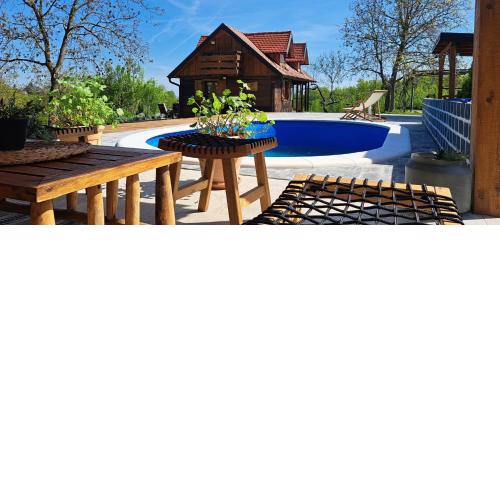 Family friendly house with a swimming pool Sveti Ivan Zelina, Prigorje - 20657