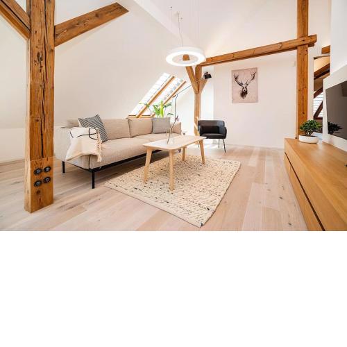 Fantastic Attic Apt with big Terrace