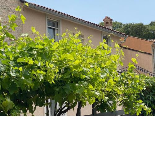 Farfalle di Valle