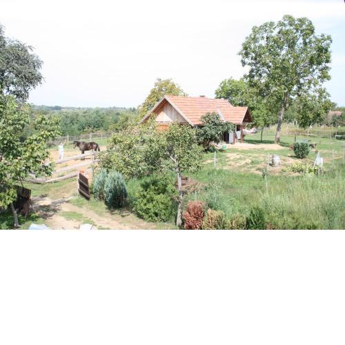 Farmica, Bed&Breakfast, Bazen izdvojen nekoliko minuta hoda