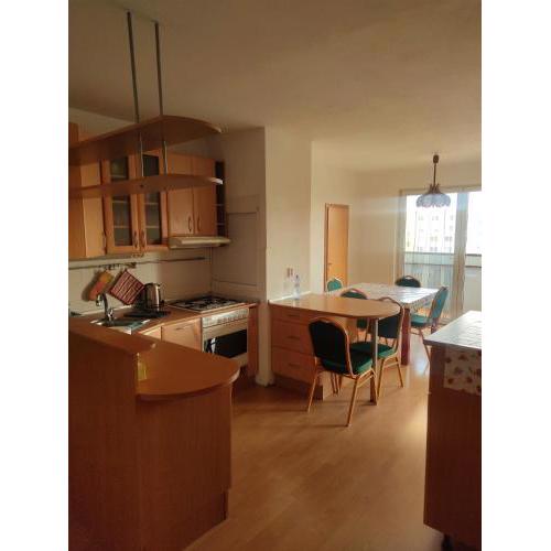 Fast Apartment close by centrum