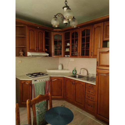 Fast Apartment in the Levice