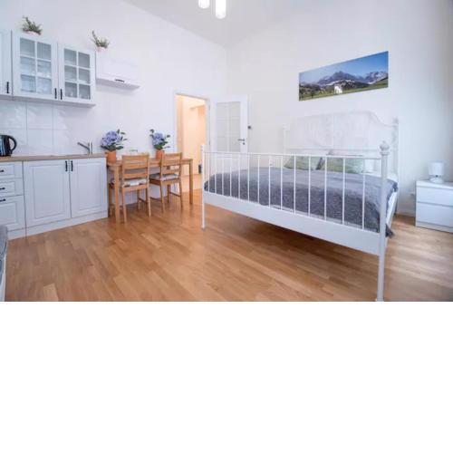 Favorite apartment in the center of Prague 1