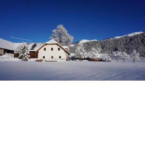 Ferien am Land - WALDBAUER