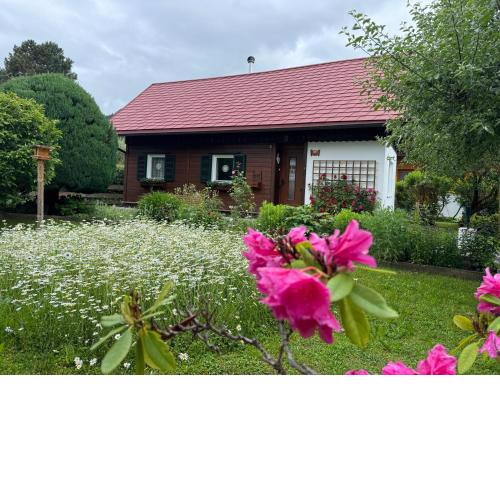 Ferienhaus - Senn-Inn im Zentrum von Schladming