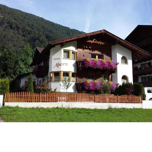 Ferienhaus Ahorn