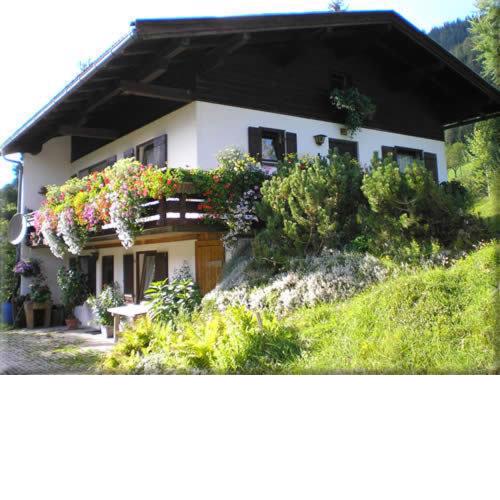 Ferienhaus Dum