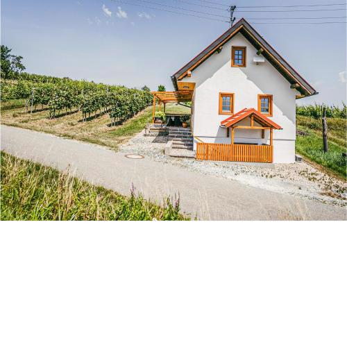 Ferienhaus Gaas Weinberg