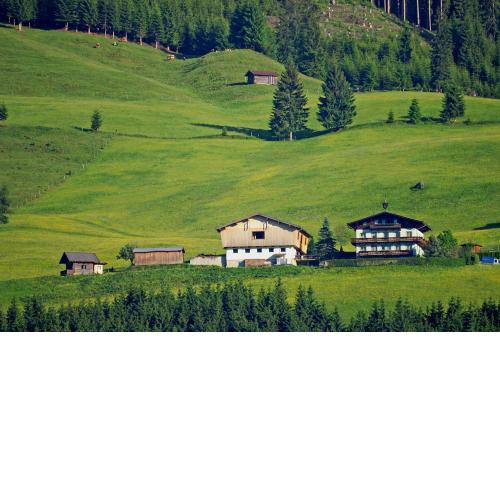 Ferienhaus Hochwimmer