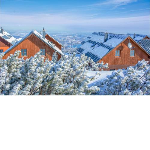 Ferienhaus Mit Bergpanorama