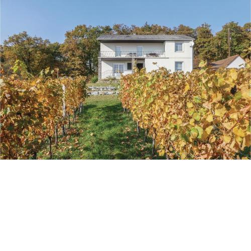 Ferienhaus Mit Panoramablick
