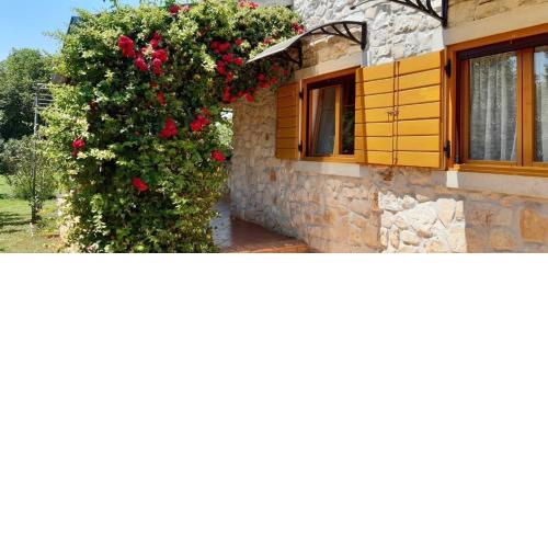 Ferienhaus mit schönem Garten und Sonnenterrasse