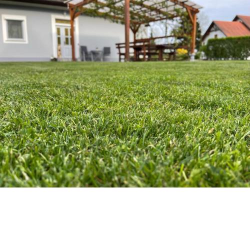 Ferienhaus Russ
