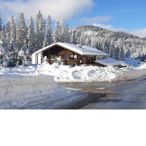 Ferienhaus Schäfer - Apartments - Wintersports - Family holiday - Holiday with your dog - Rural & Scenic