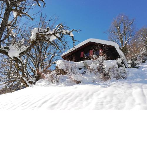 Ferienhaus Schnider