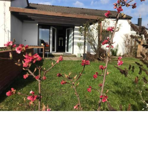 Ferienhaus Seeblick