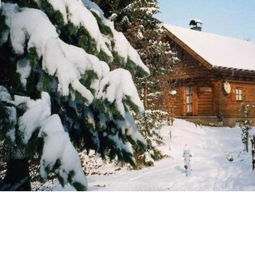Ferienhaus Stoakoglhütte in Klippitztörl