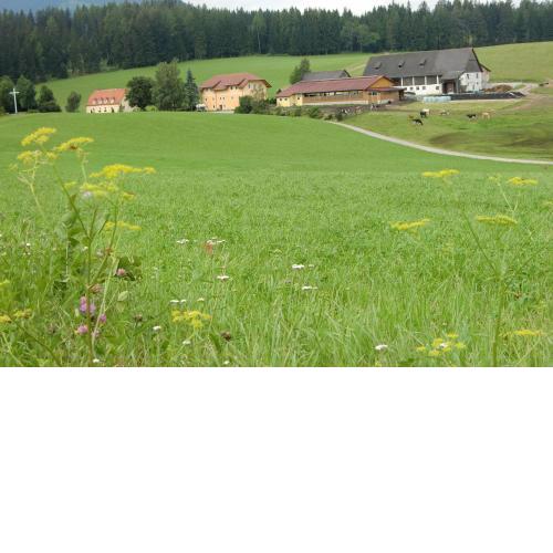 Ferienhaus Wohleser